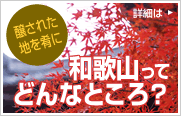 醸された地を肴に　和歌山ってどんなところ？